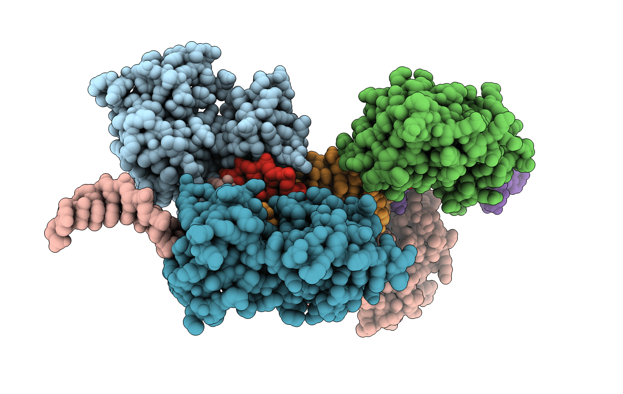 4JBK image