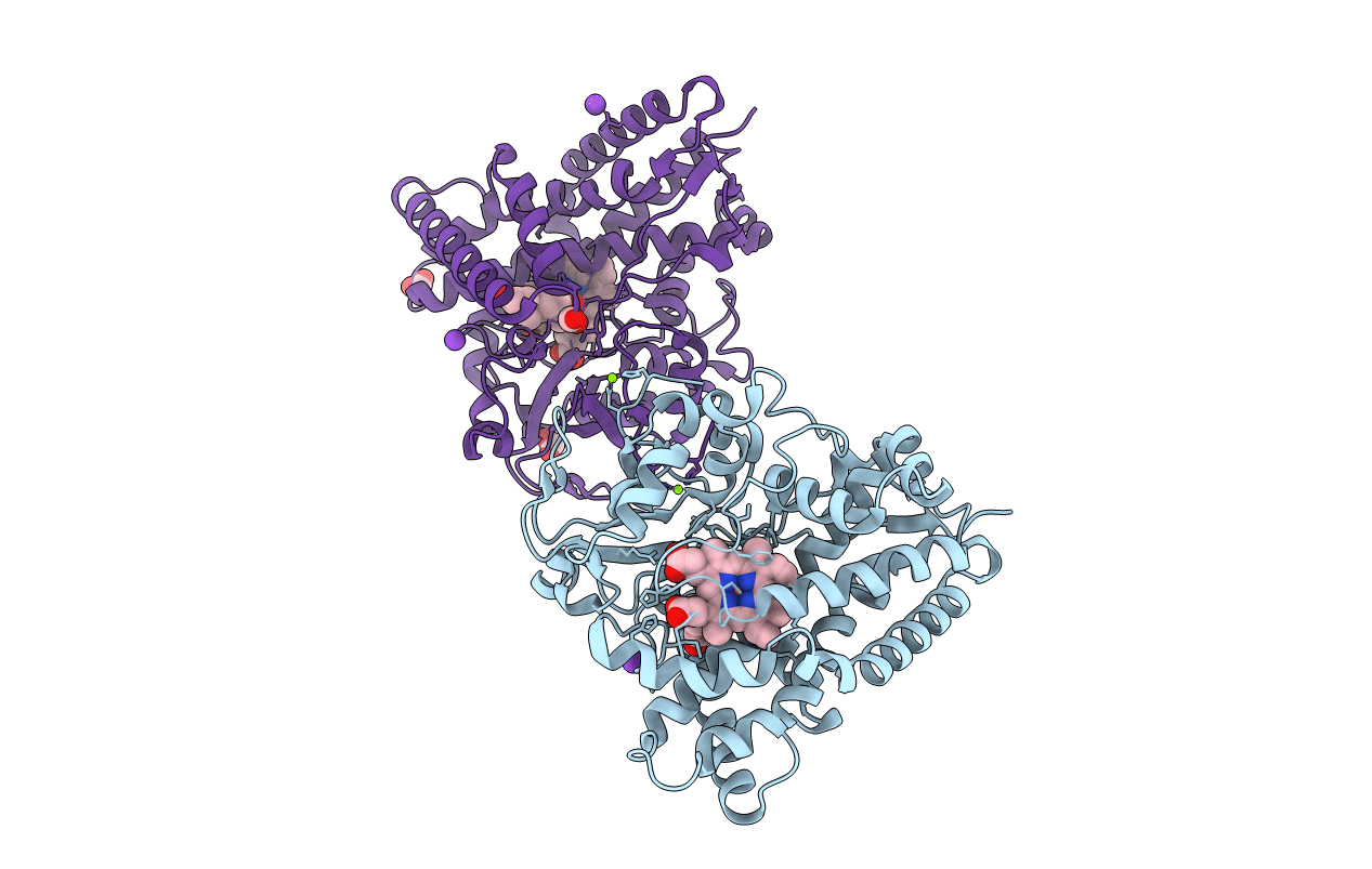 4JBT image