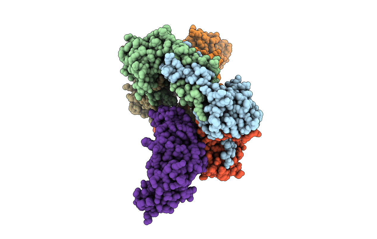 4JCV image