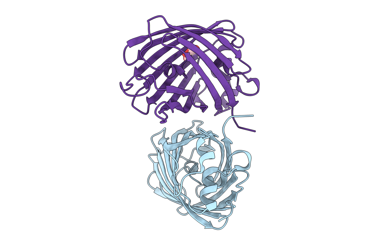 4JEO image