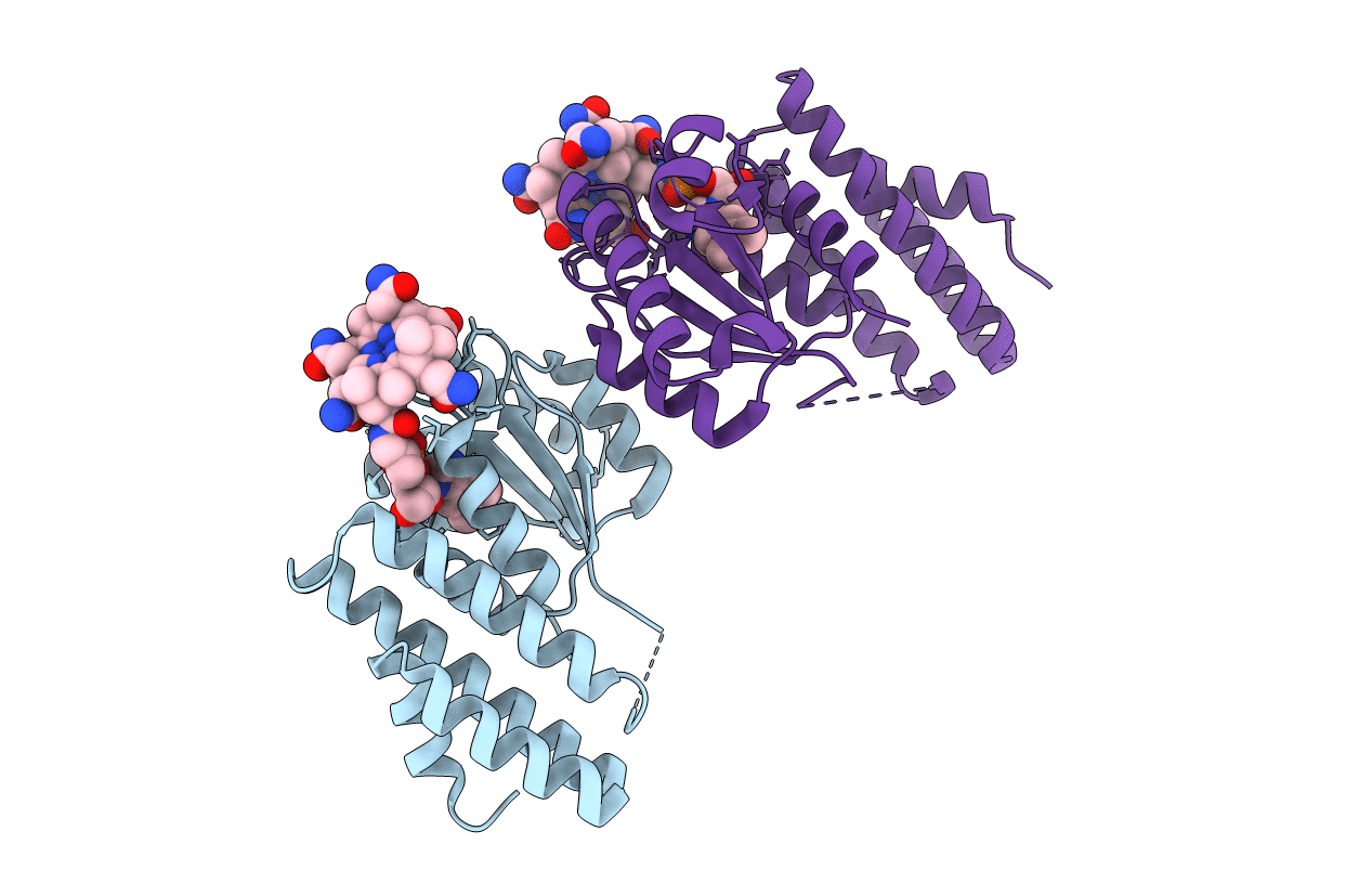 4JGI image