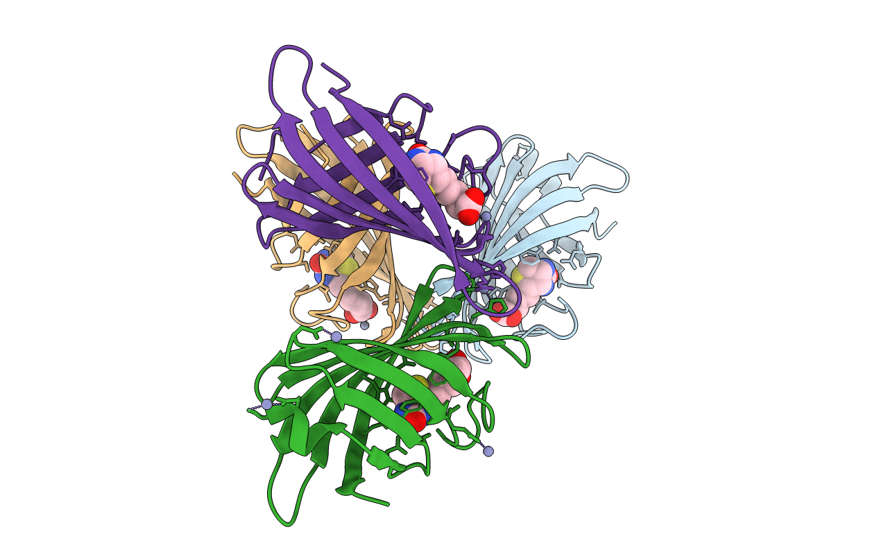 4JNJ image