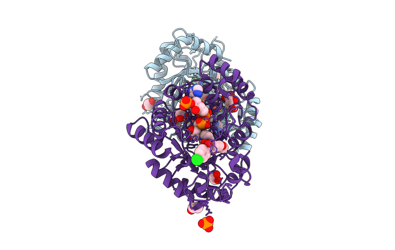 4JQ4 image