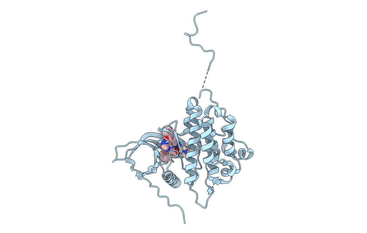 4JQ8 image