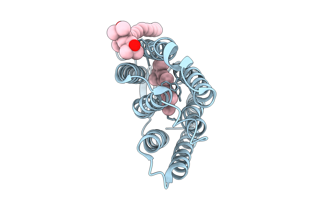 4JR8 image