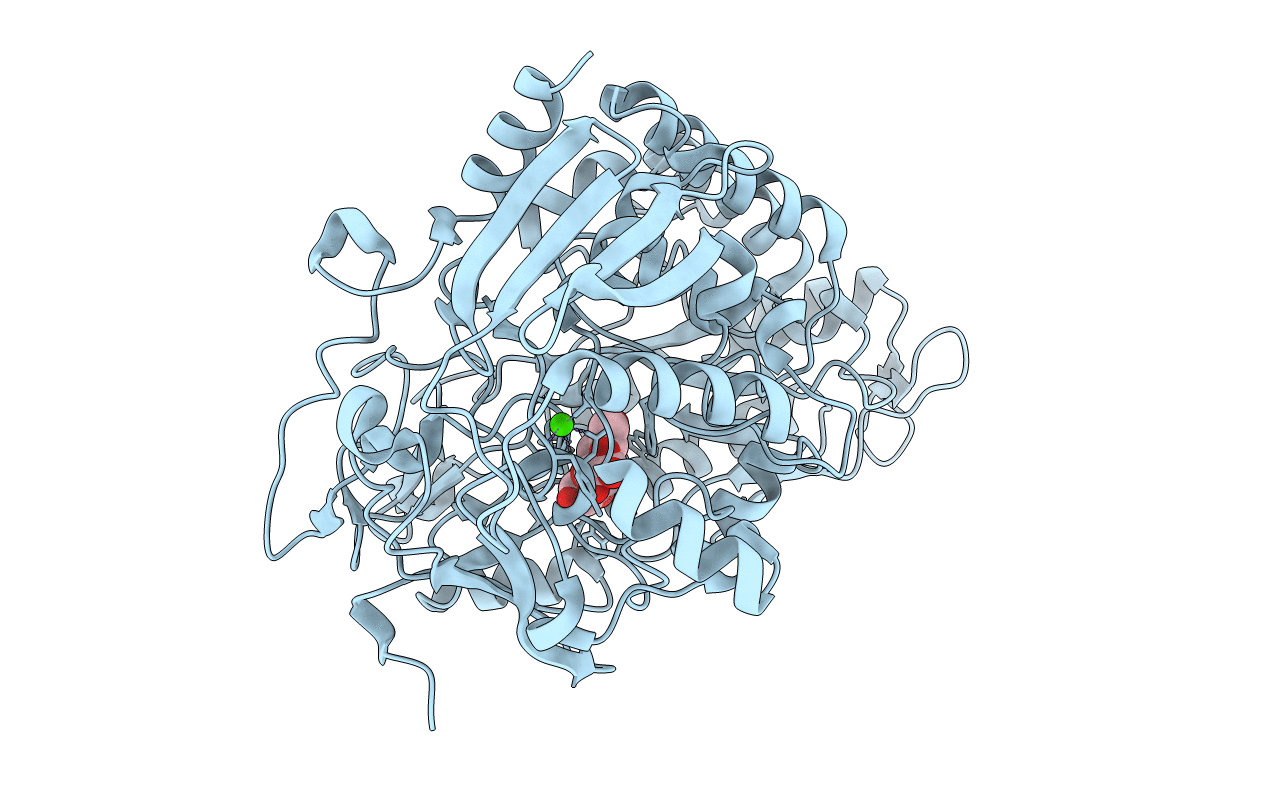 4JSD image