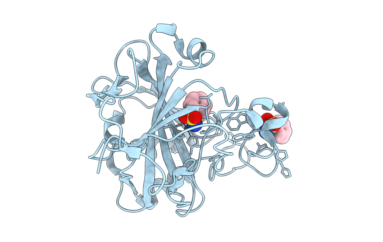 4JSZ image