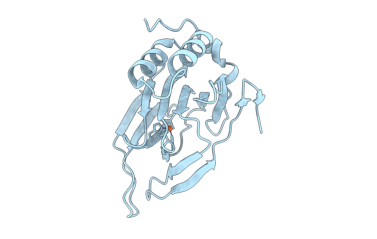 4JTN image