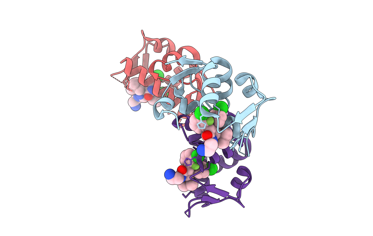 4JVR image