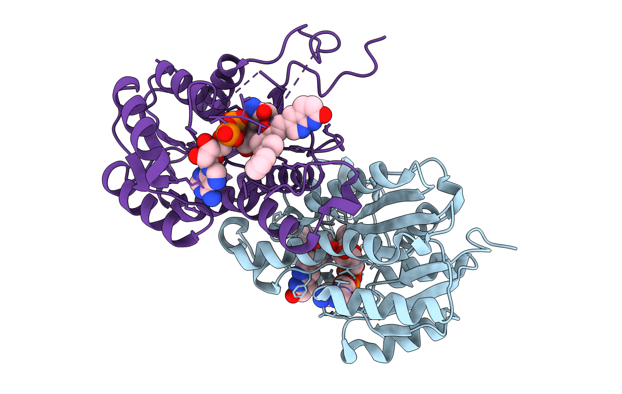 4JX8 image