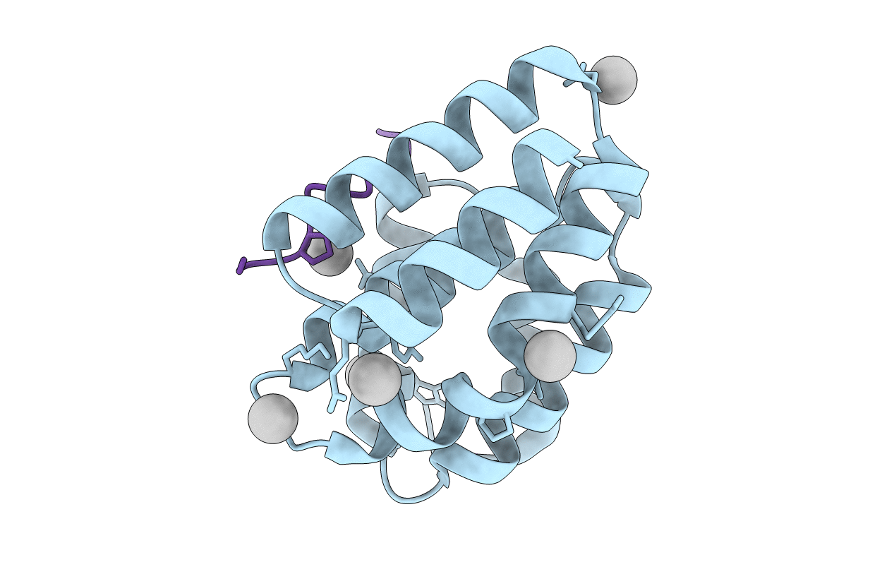 4JXT image