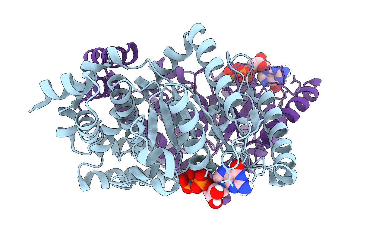 4JYB image