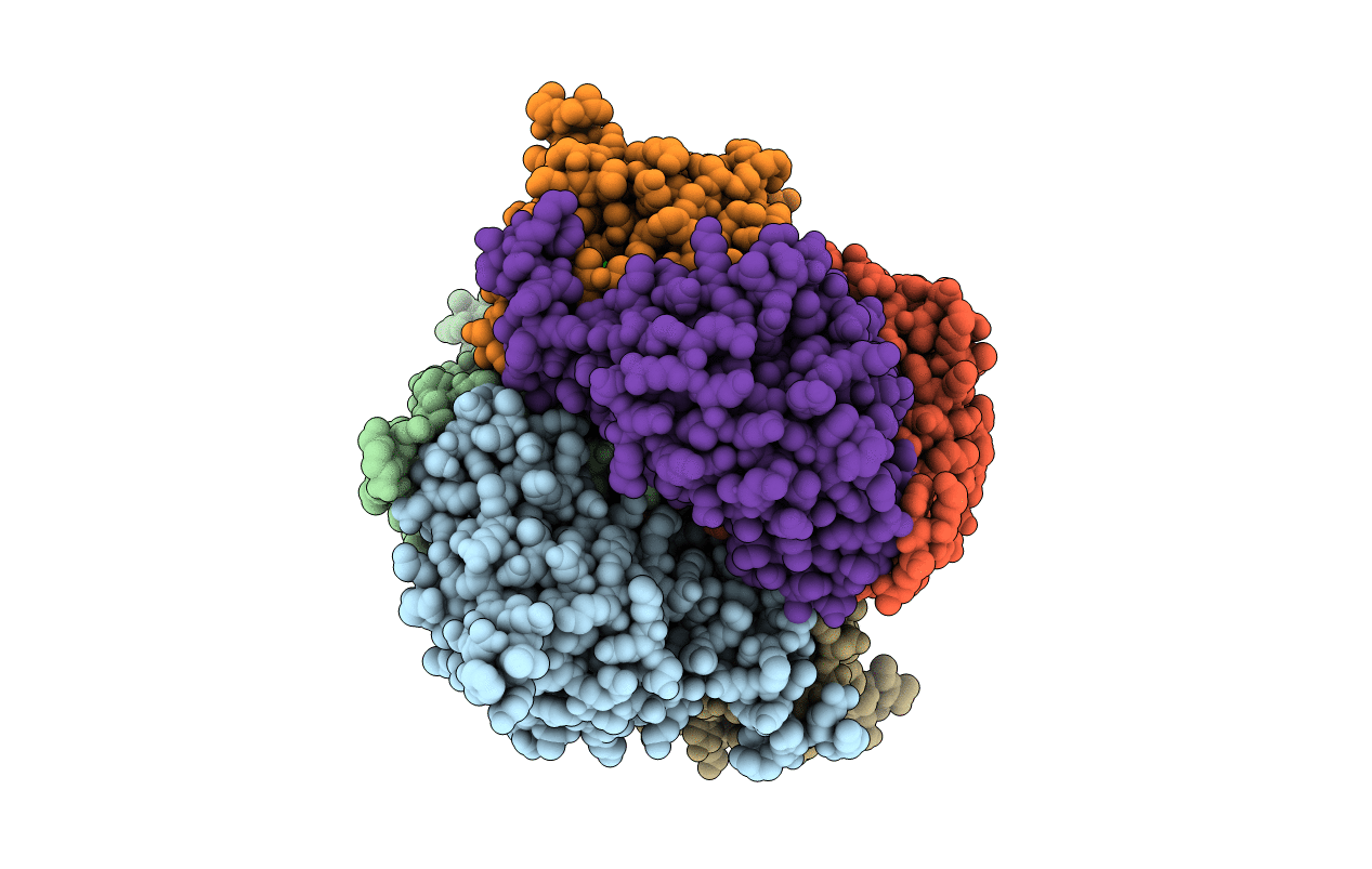 4JYL image