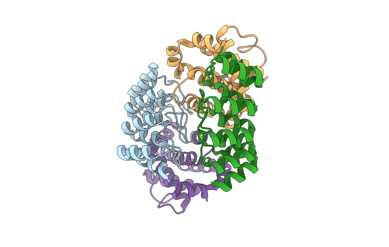 4K5B image