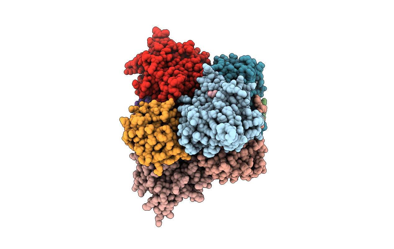 4K81 image