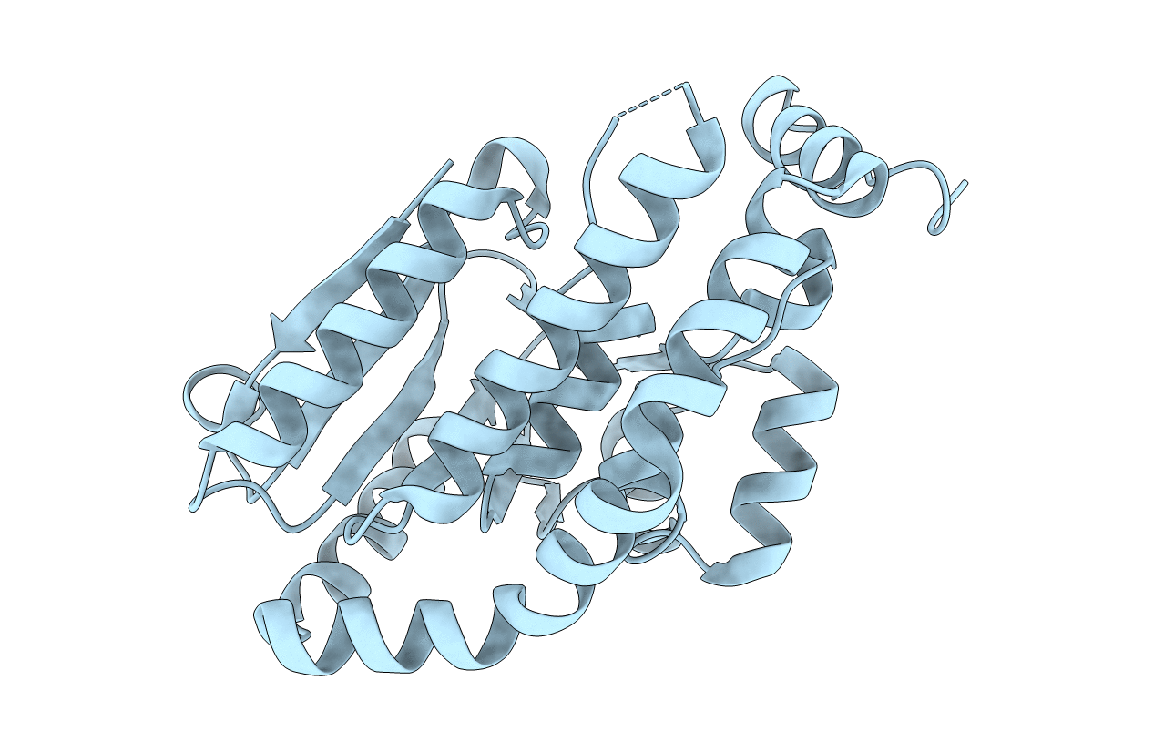 4KNP image