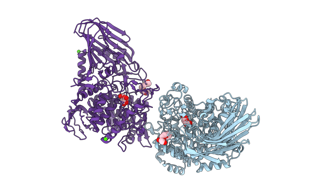 4KTP image