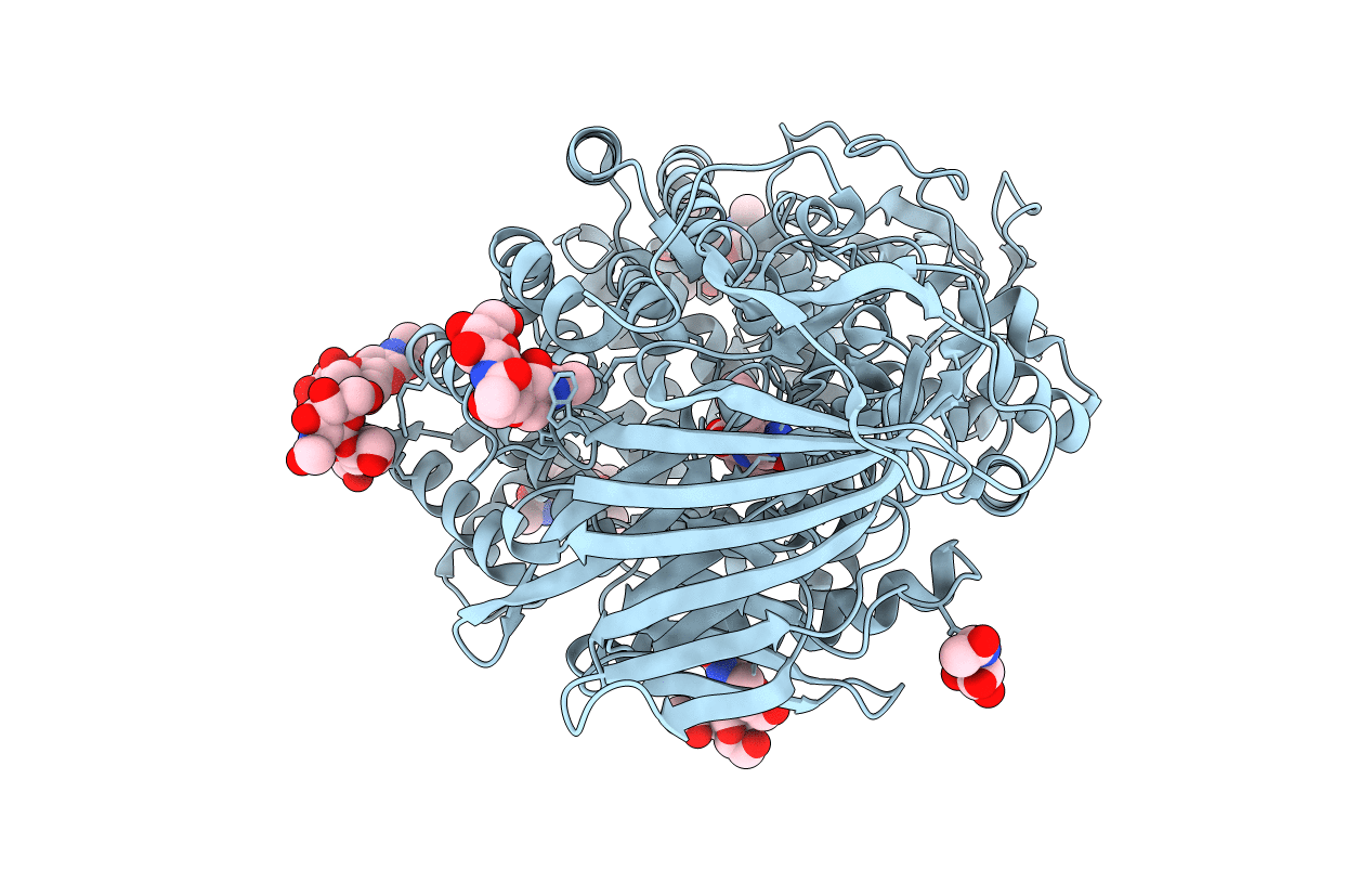 4KXB image