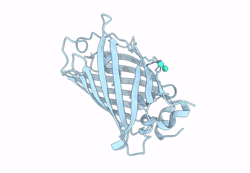 4L12 image