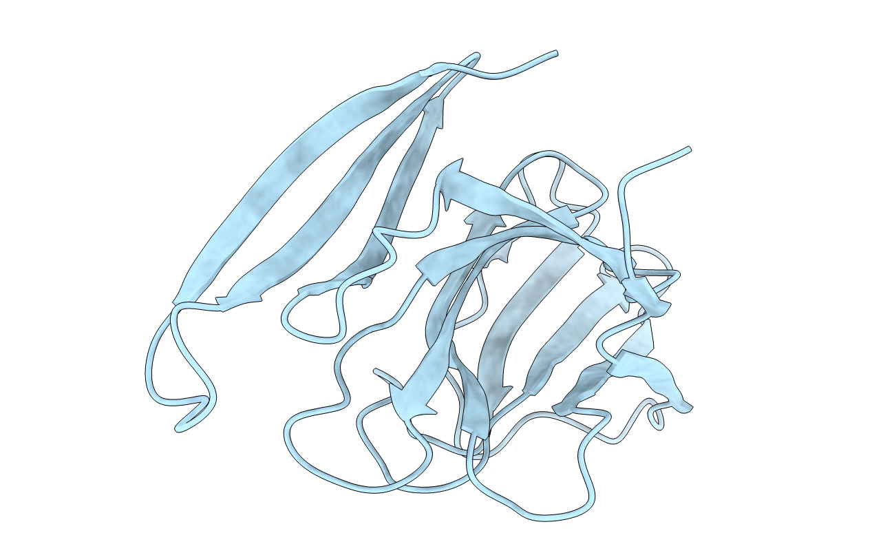 4L1N image