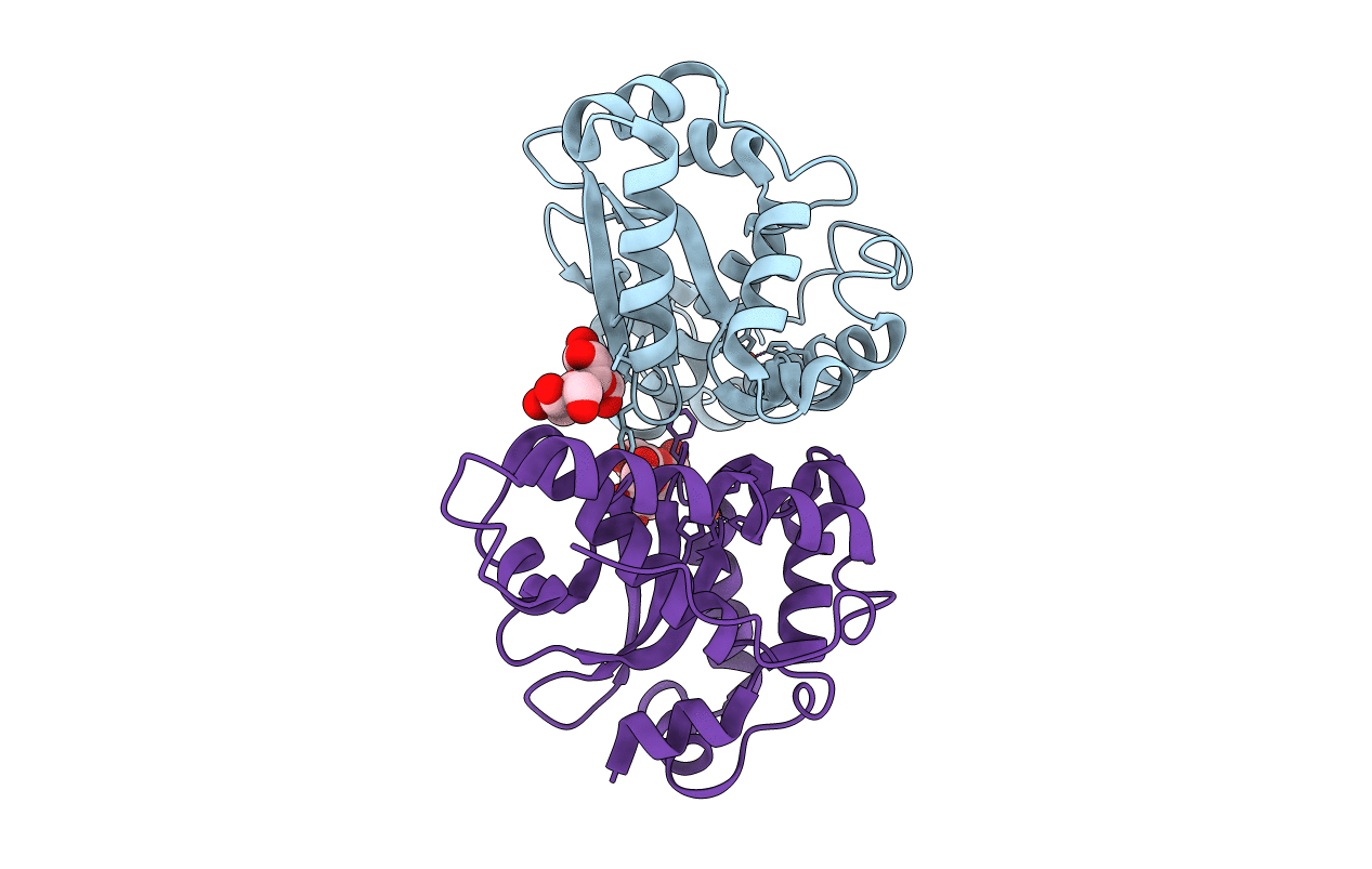 4L2B image