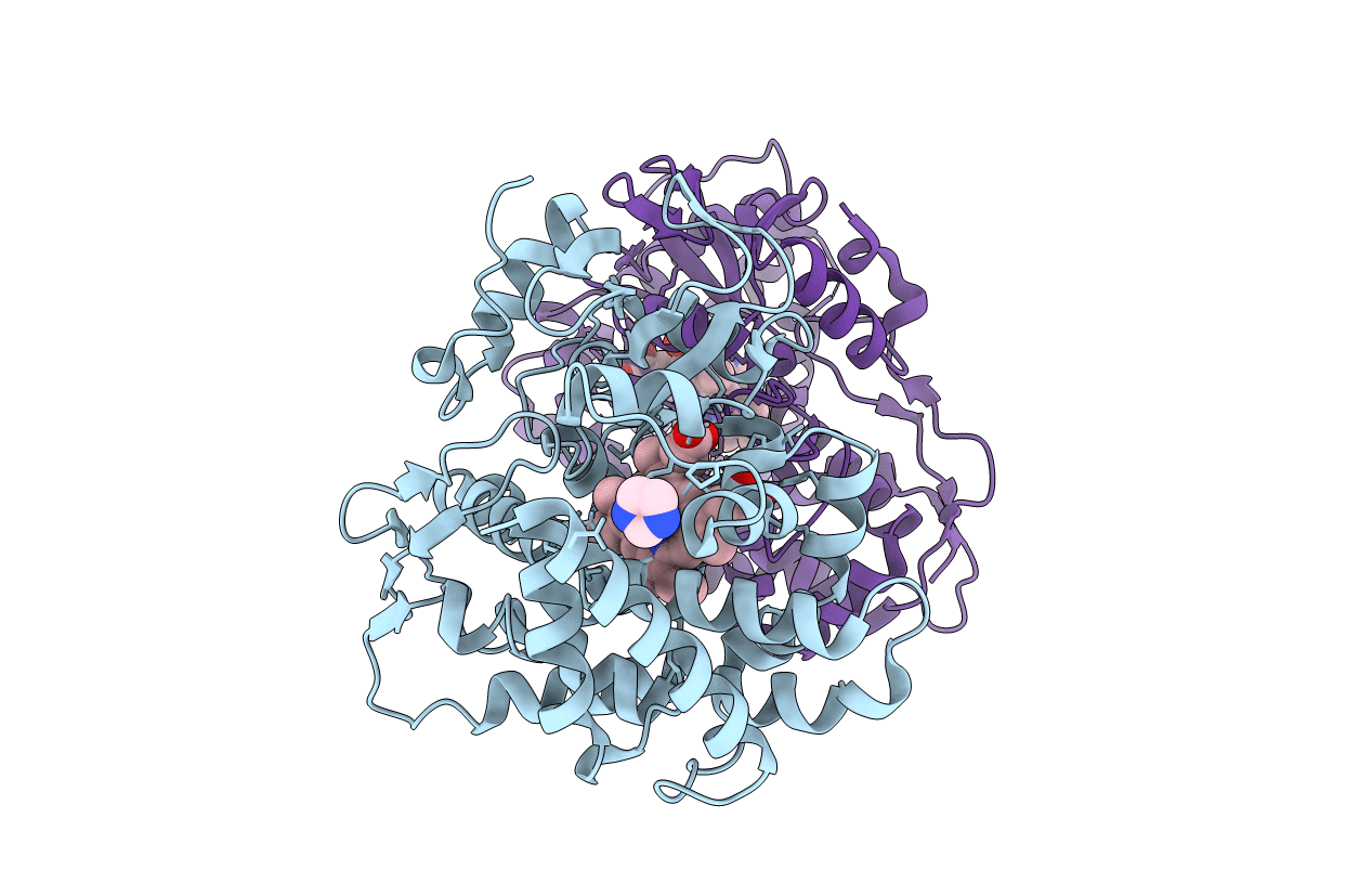 4L36 image