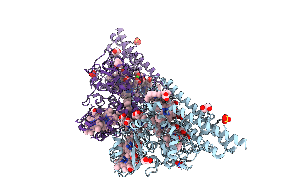 4L38 image