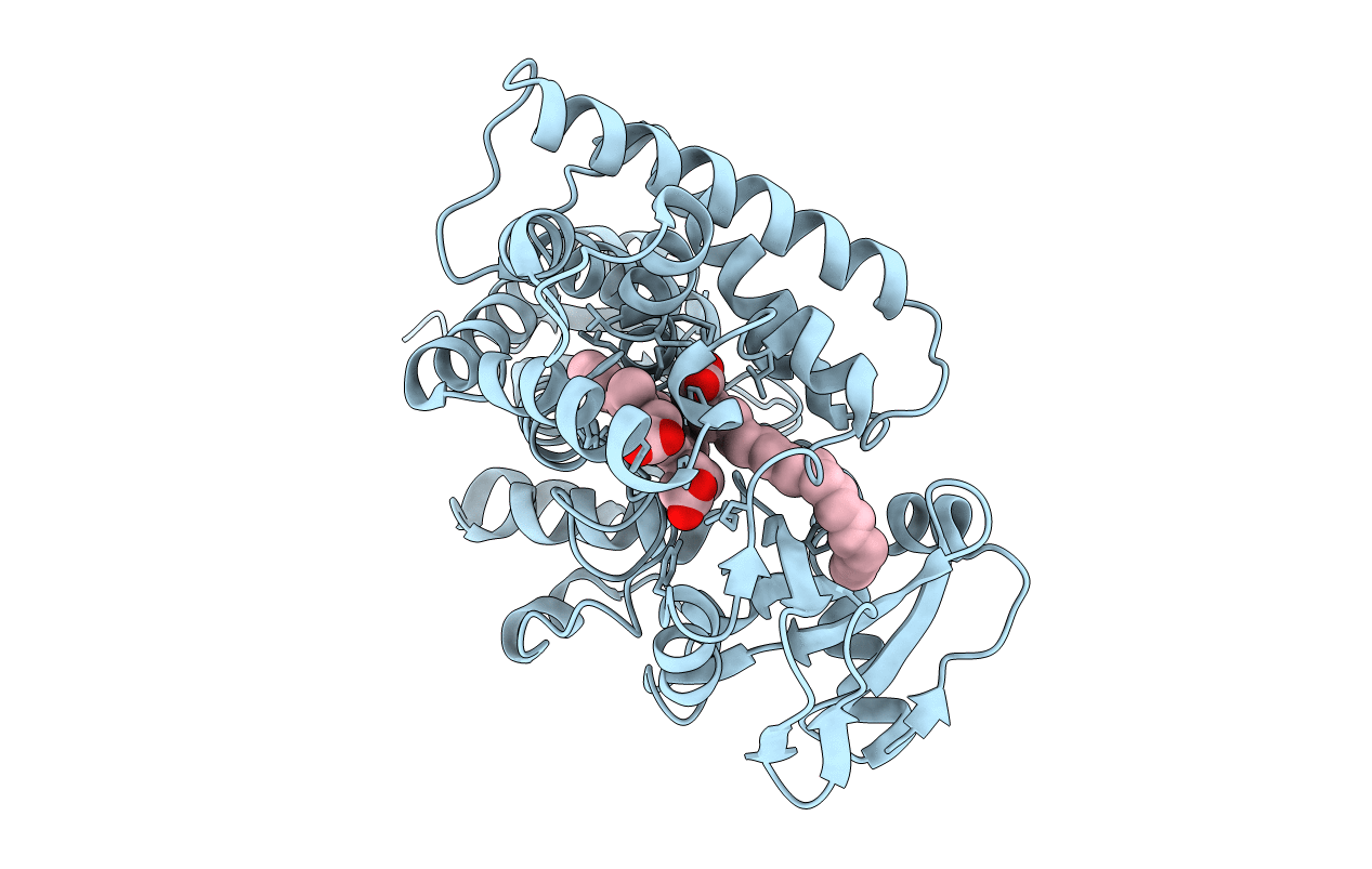 4L40 image