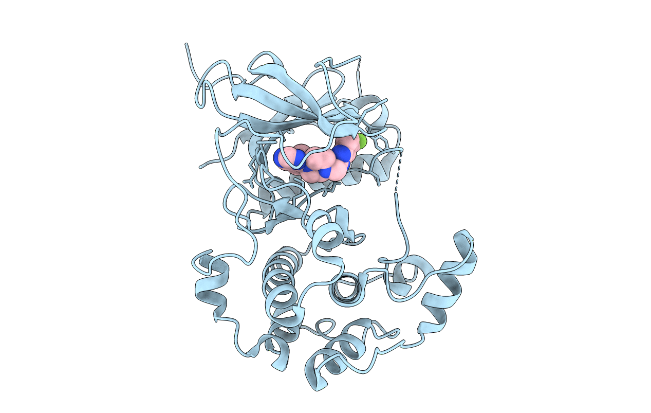 4L43 image
