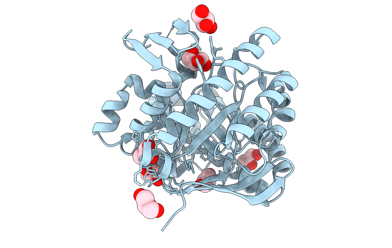 4L56 image
