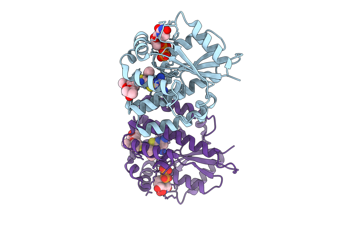 4L5B image