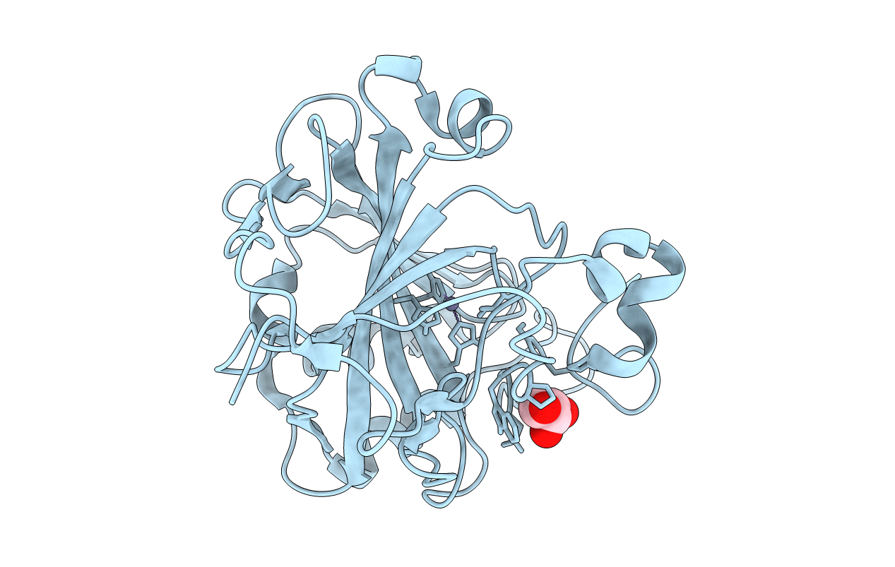 4L5W image