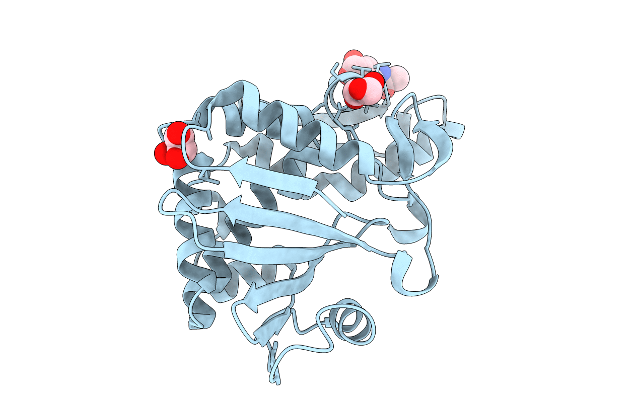 4L66 image