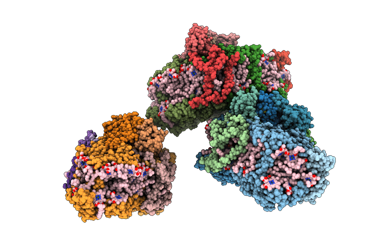 4L6V image