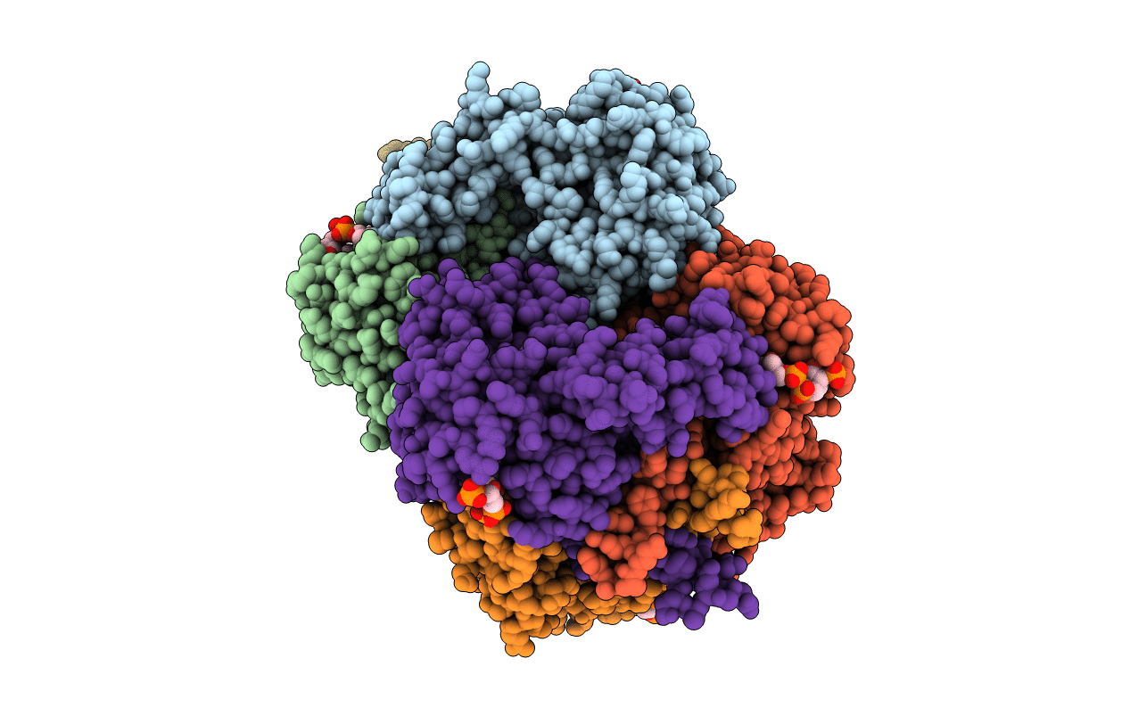 4L80 image