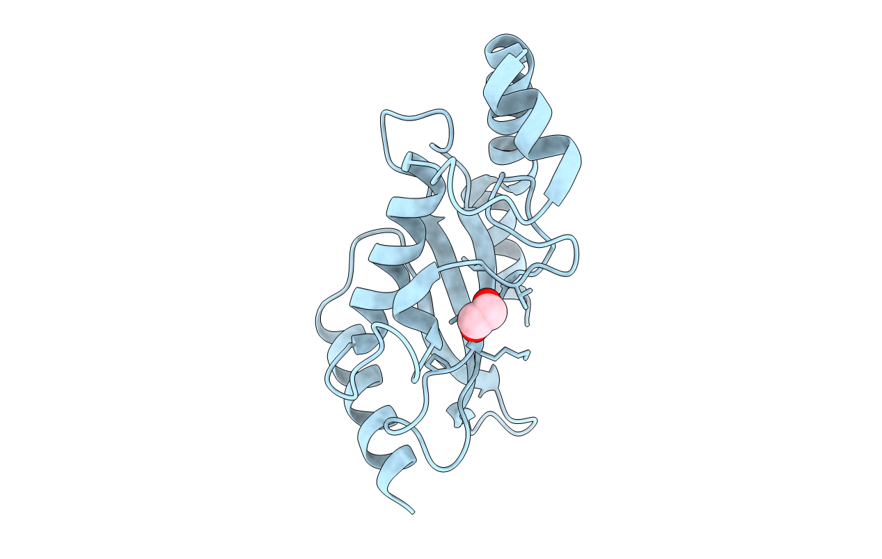 4L83 image