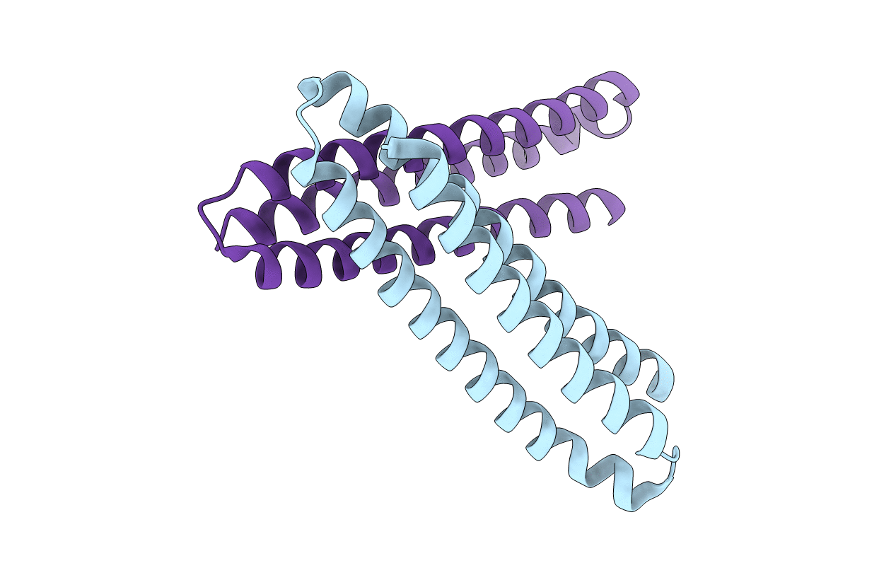 4L8I image