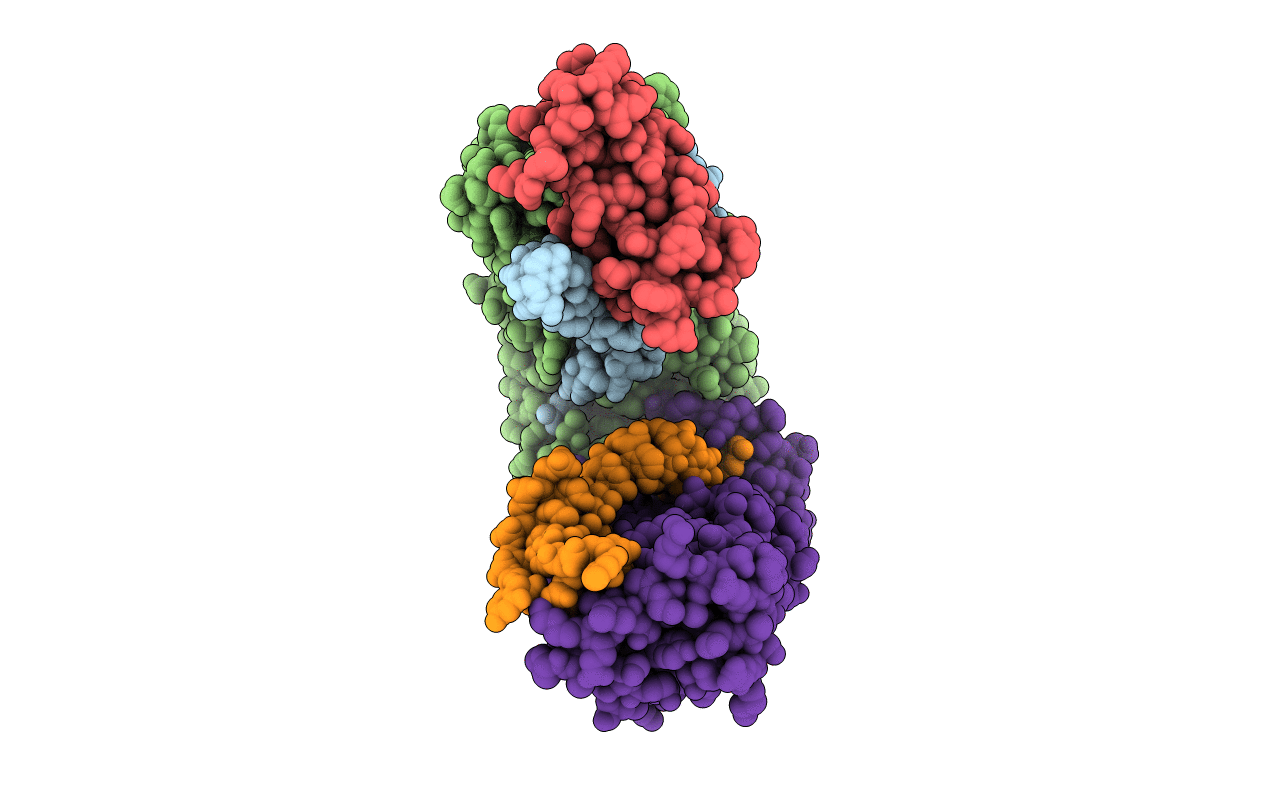 4L8R image