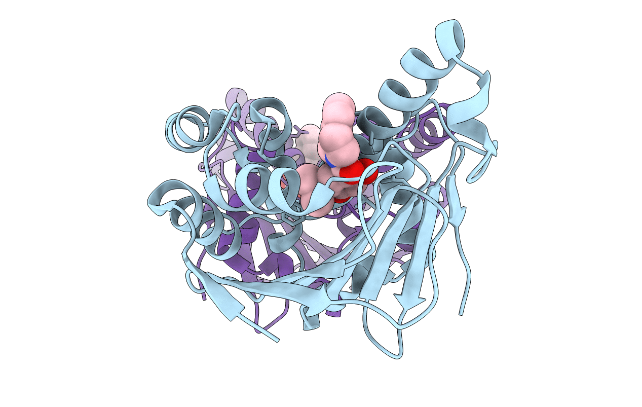 4L93 image