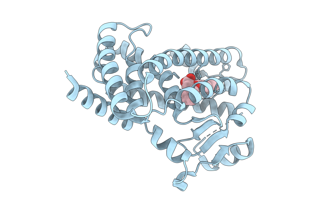 4L96 image
