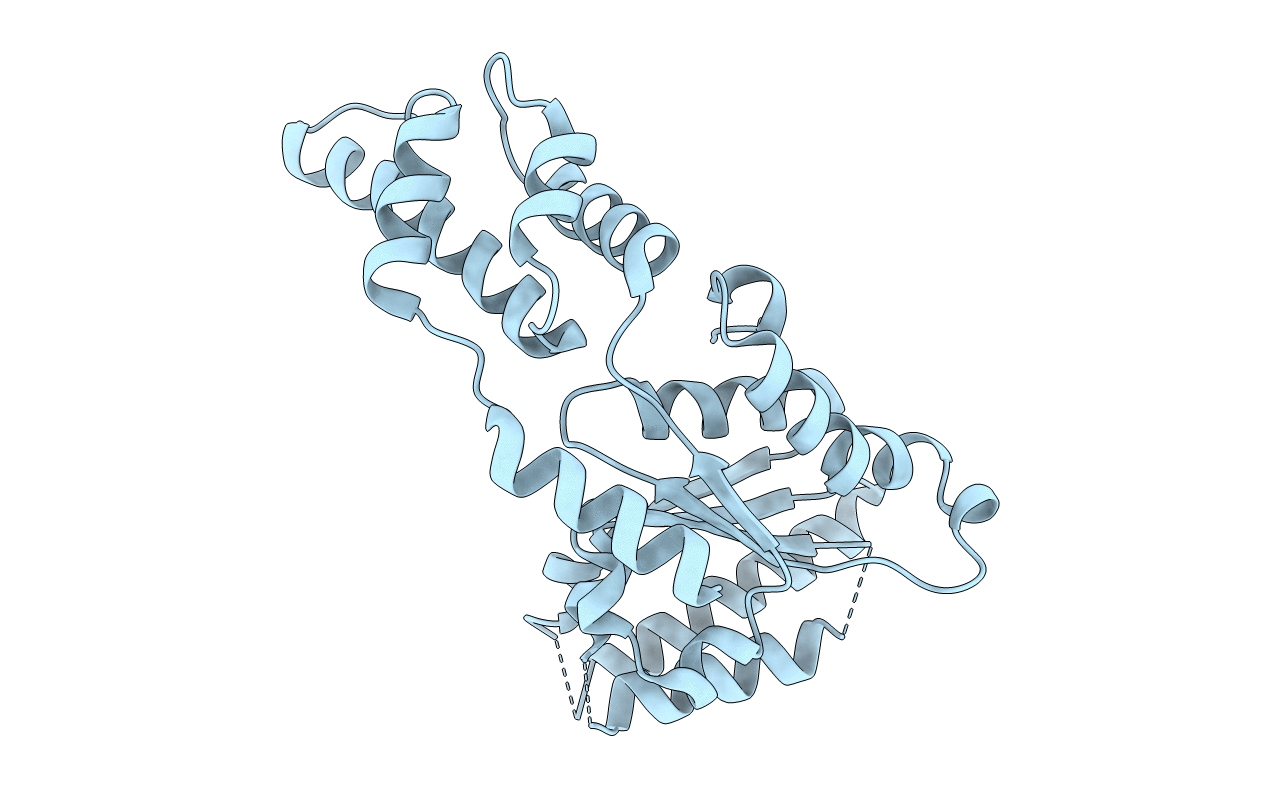4LCB image