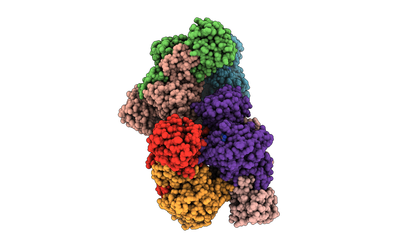 4LCJ image