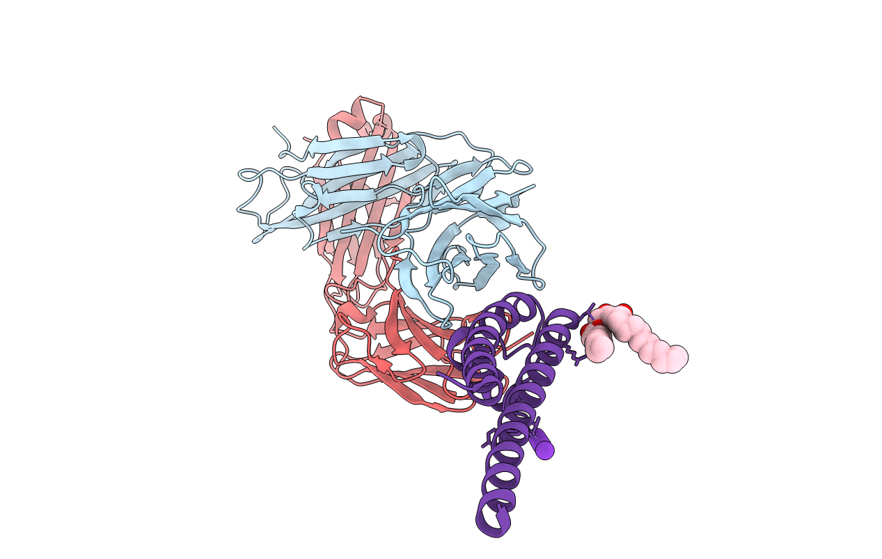 4LCU image