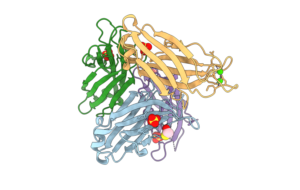 4LCV image