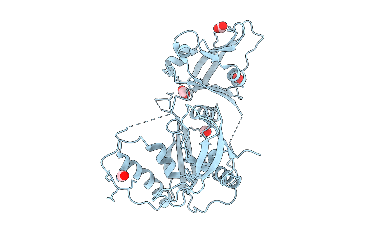 4LDV image