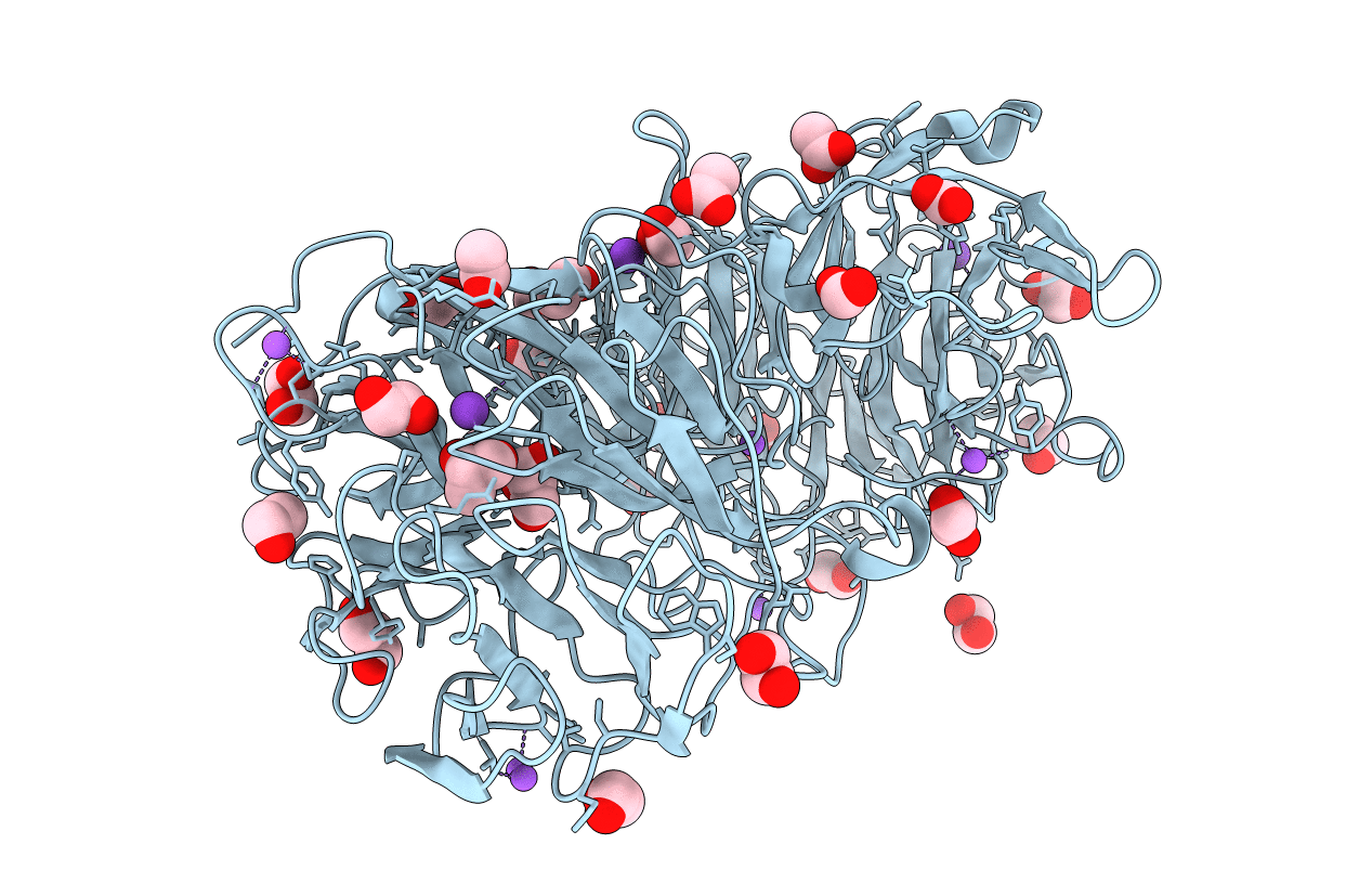 4LGN image