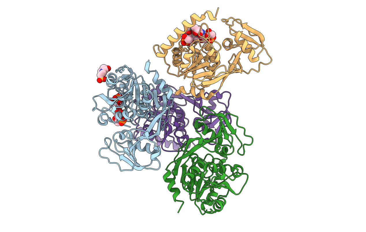 4LKV image