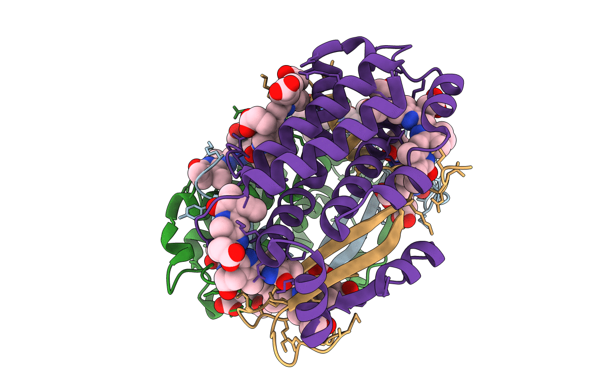 4LM6 image