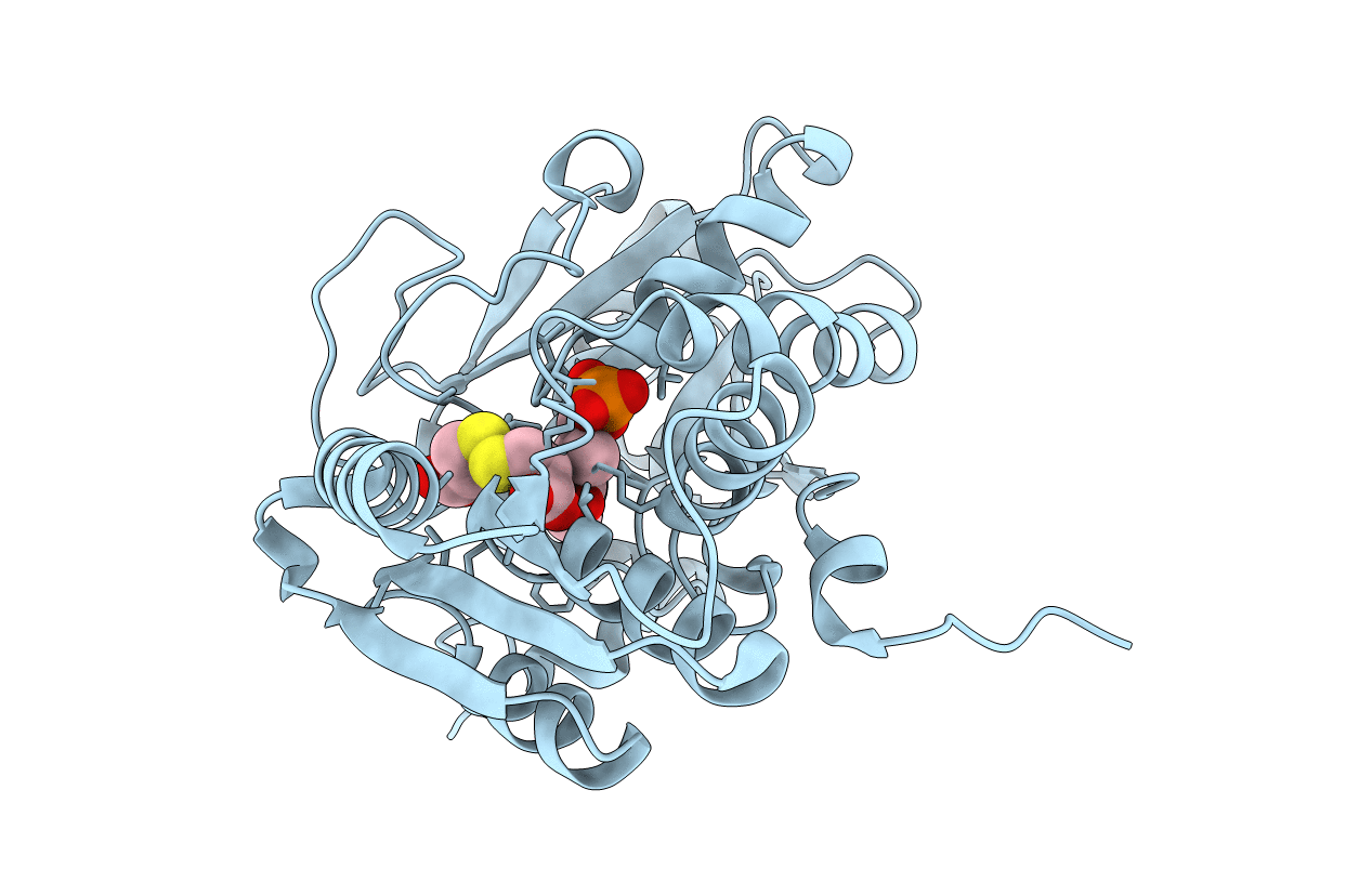 4LMB image