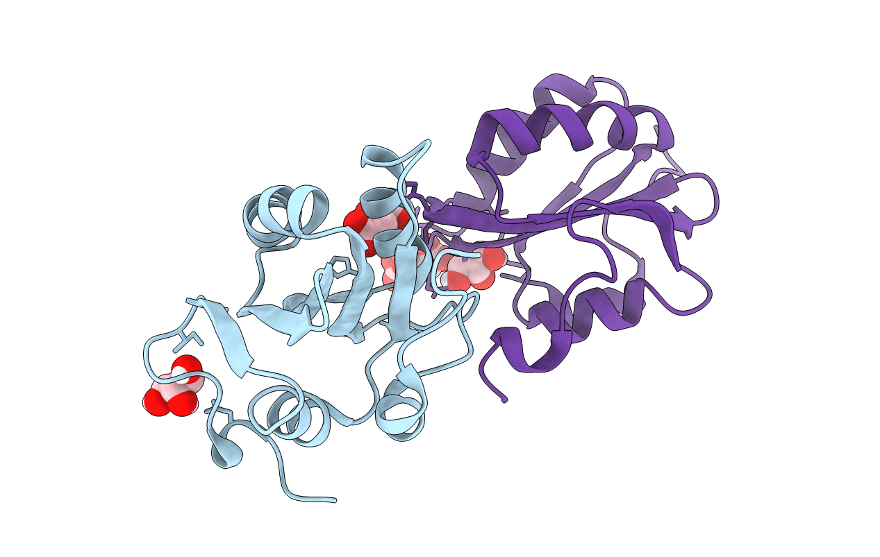 4LMD image
